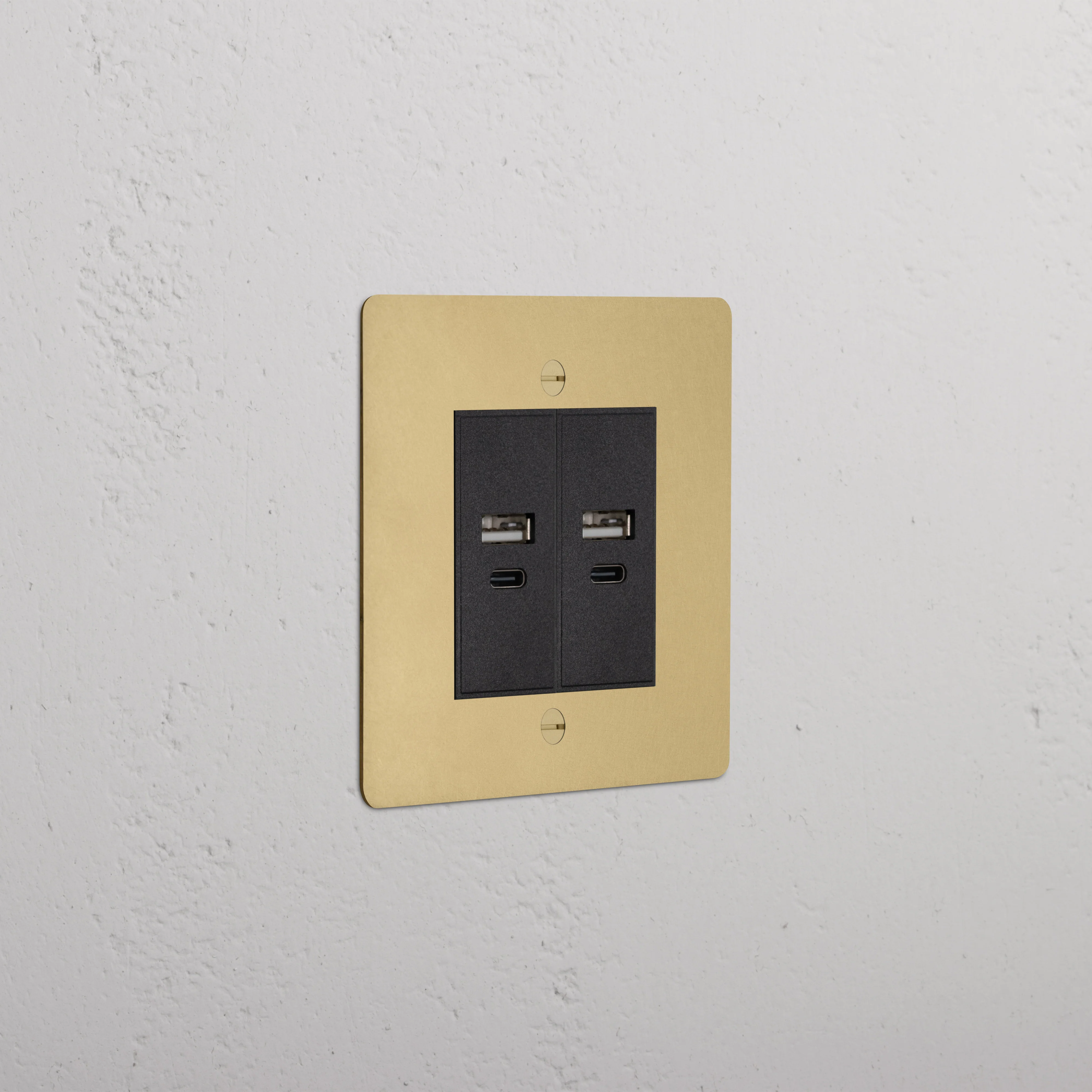 Single 2x USB-A+C Socket - Antique Brass | Black
