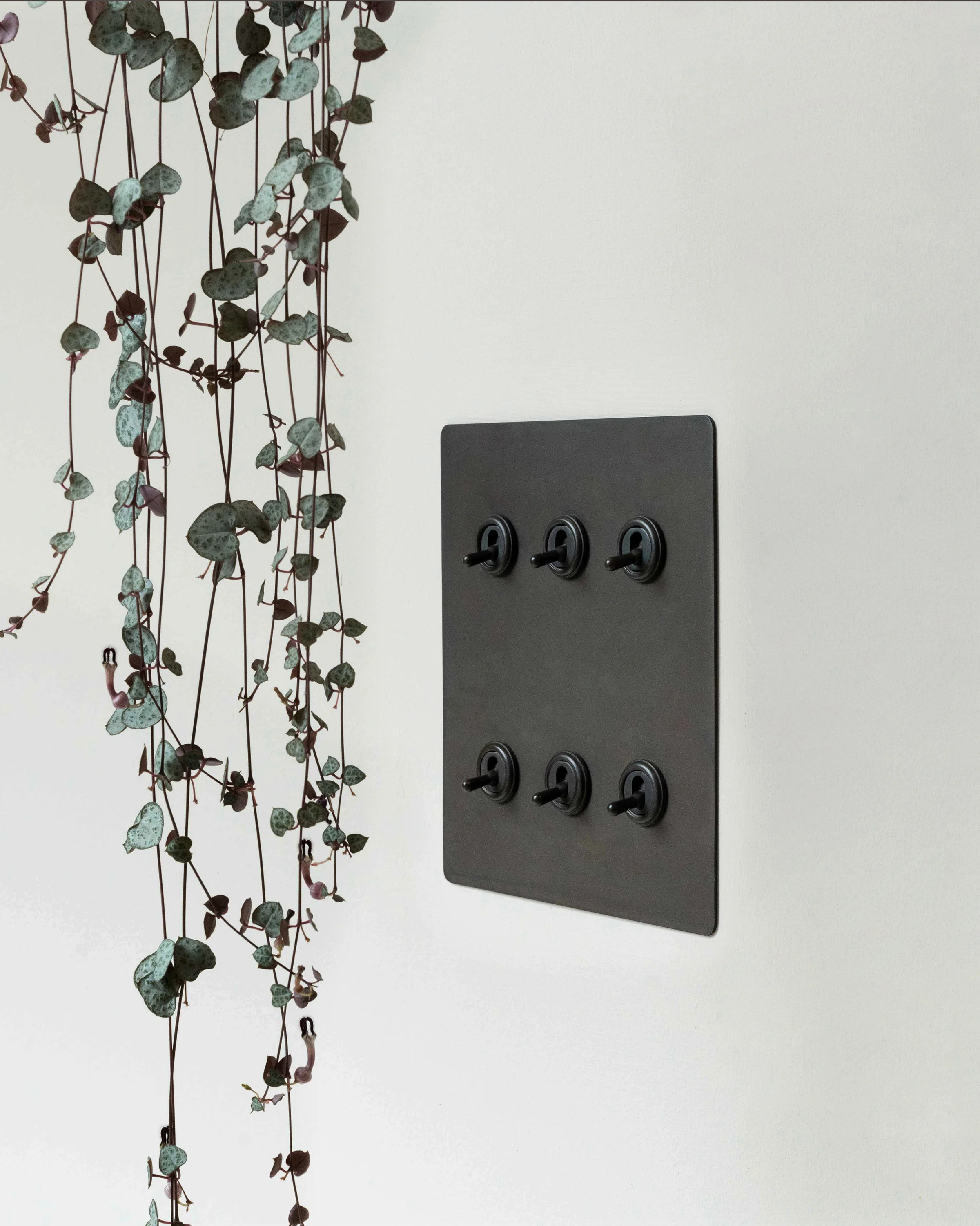 6G Two Way Toggle Switch - Bronze - Image 4