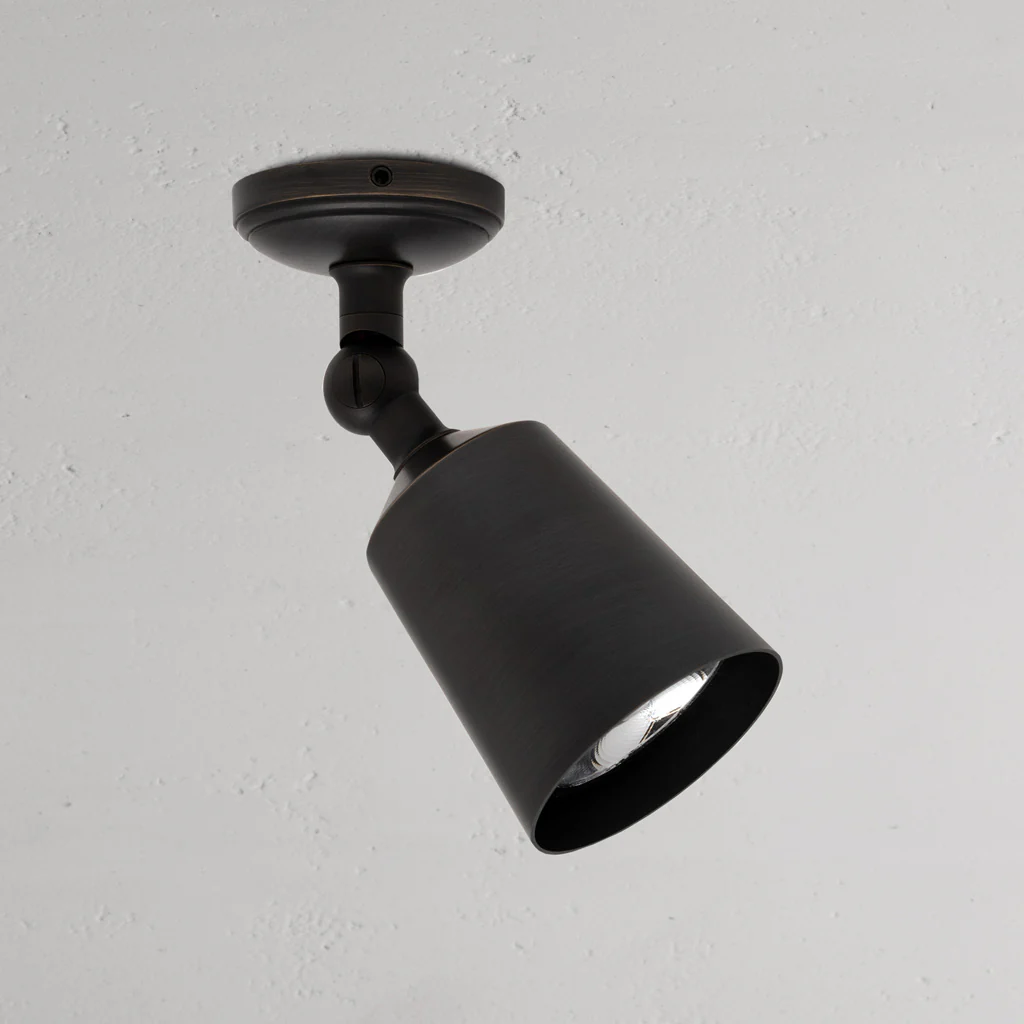 Baylis Single Medium Spotlight – Bronze