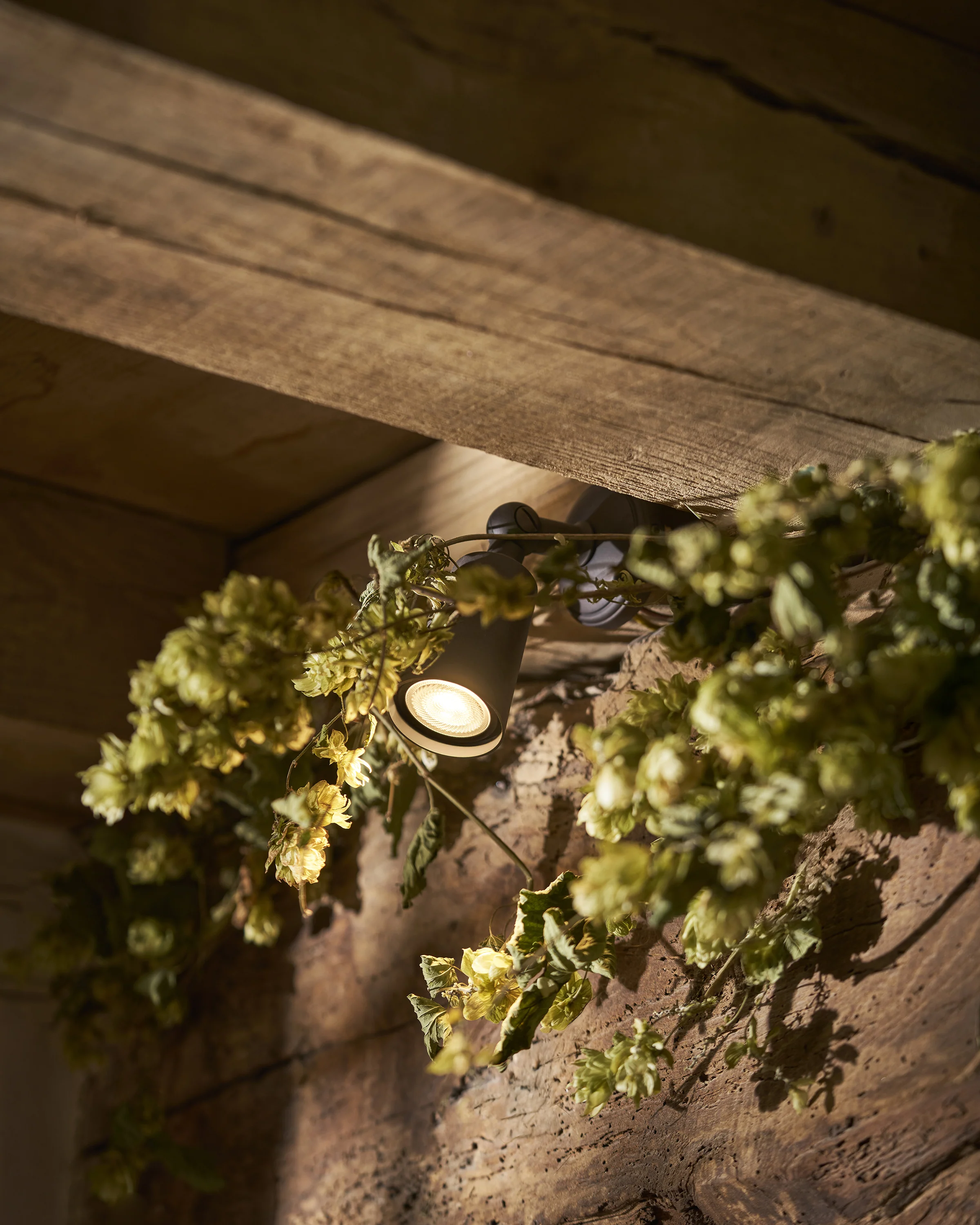 Baylis Single Small Spotlight – Bronze - Image 2