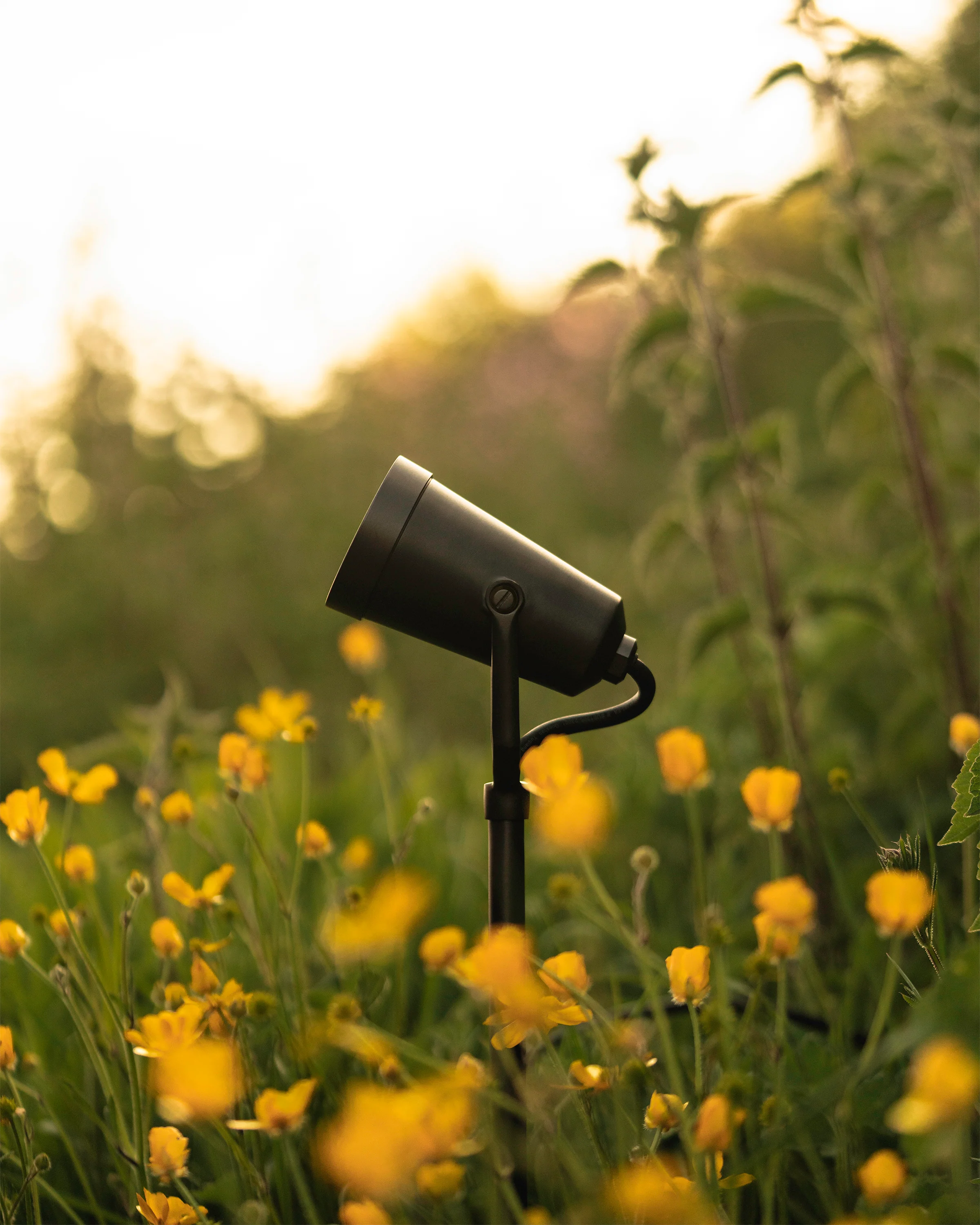 Cambridge Ground Spotlight 24V – Bronze - Image 4