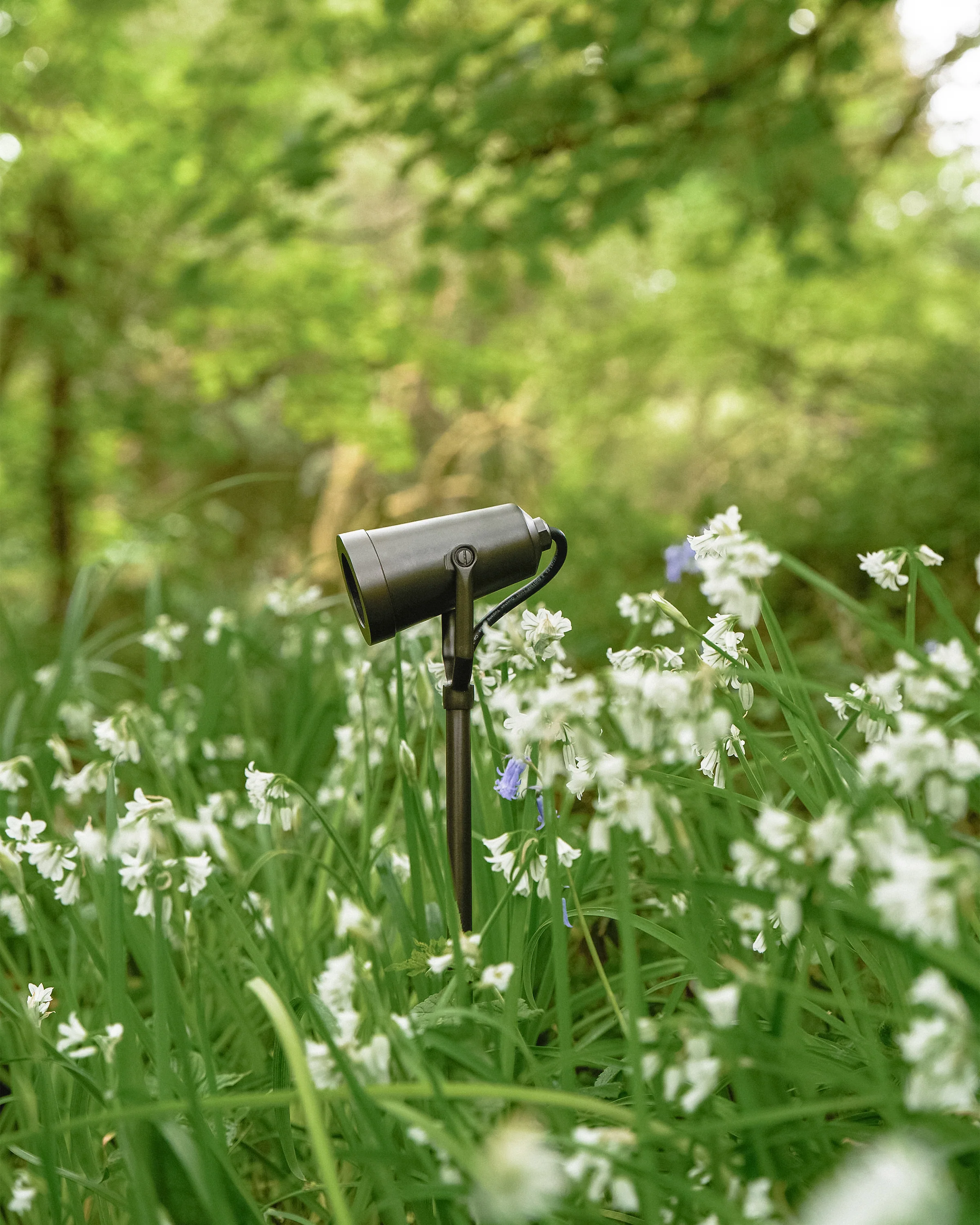 Cambridge Ground Spotlight 24V – Bronze - Image 5