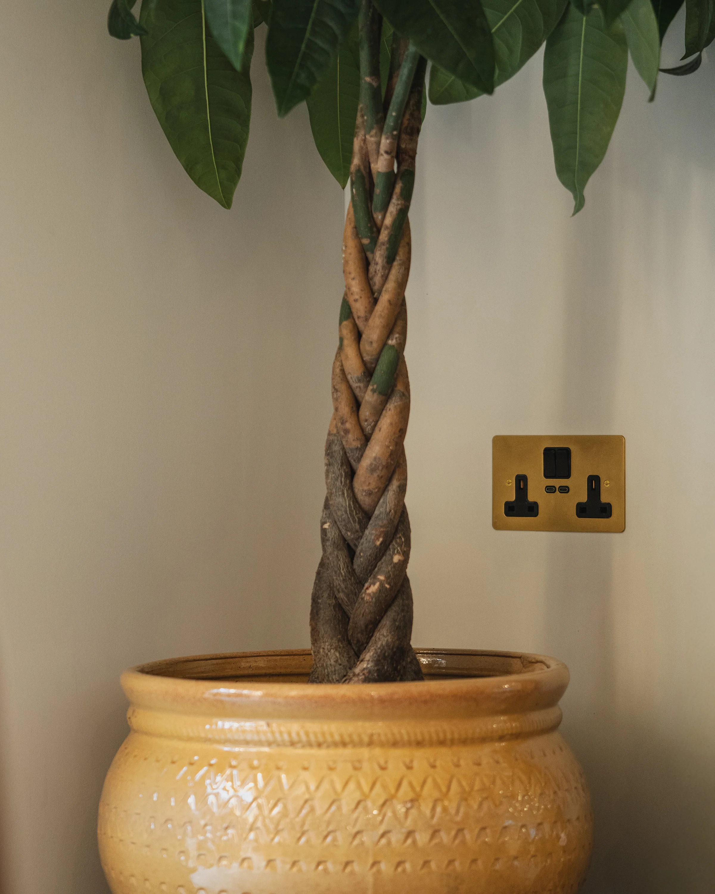 Double Socket & USB-C Fast Charge - Antique Brass | Black - Image 3